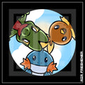 PKMN [ Hoenn Crew ] AIR FRESHENER