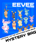 PKMN [ EEVEELUTION ] Mystery Bag
